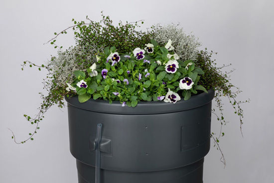 kunststof Regenton 230 liter met plantenbak - Afbeelding 3