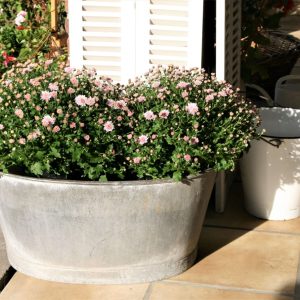 grote zinken wasteil