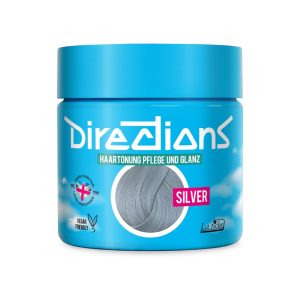Directions Silver 100ML