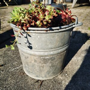 zinken emmer tuindecoratie